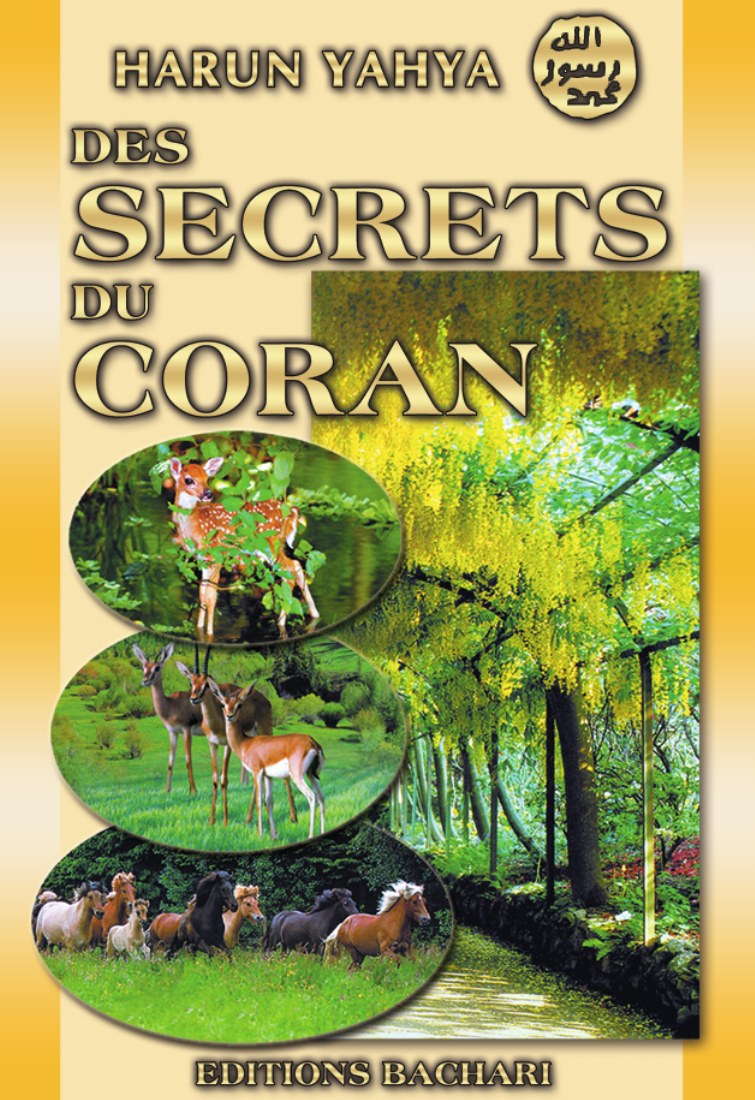 Couverture Des Secrets du Coran